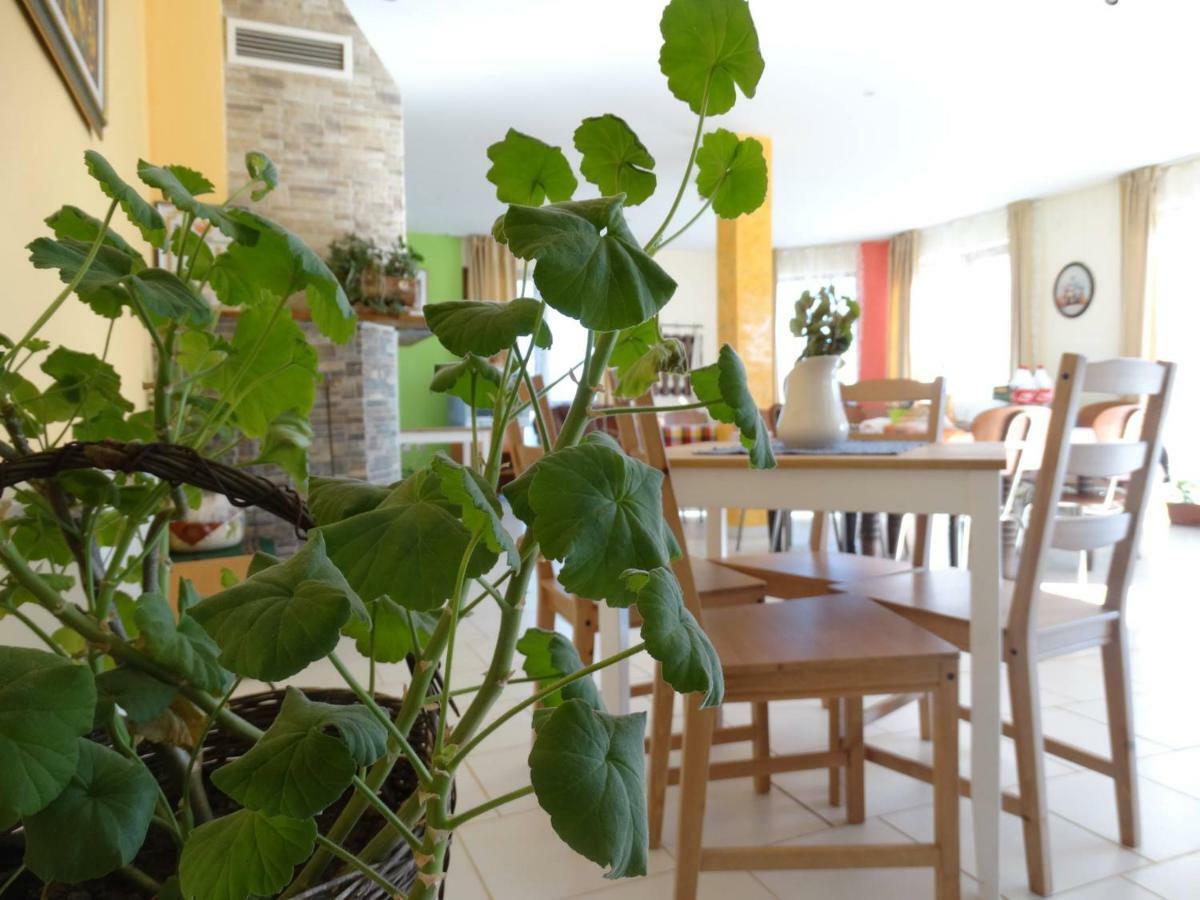 Guest House Misha Petrevene Ngoại thất bức ảnh